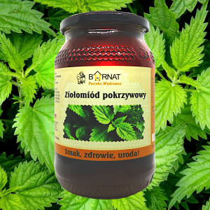 ZiolomiodCzarnaPokrzywa01.png