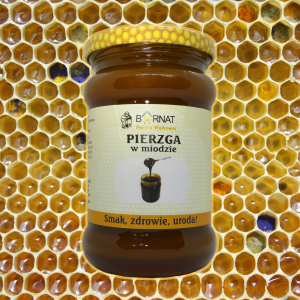 PierzgaWMiodzie03.png