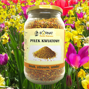 PylekKwiatowy03.png